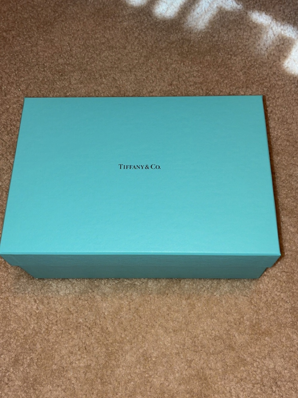 Tiffany & Co. Signature Blue Jewelry Box